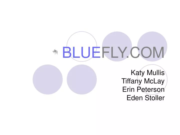 blue fly com