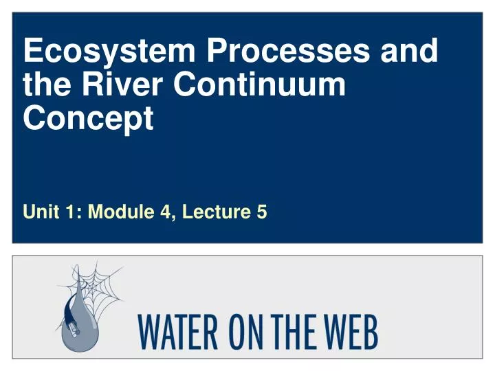 ecosystem processes and the river continuum concept