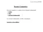 Tessuto Connettivo - slide 1