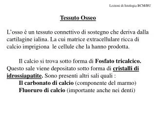 tessuto osseo