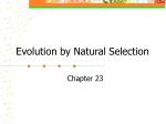 PPT - The Theory Of Evolution By Natural Selection PowerPoint ...