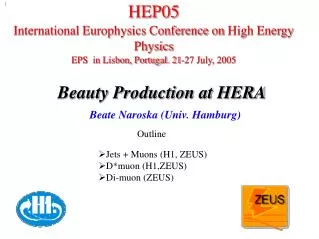 Beauty Production at HERA