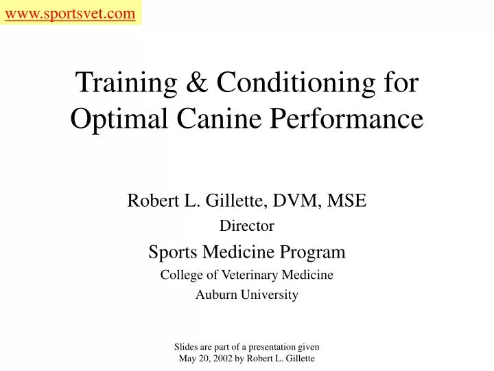 training conditioning for optimal canine performance