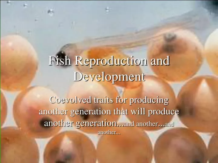 fish reproduction and development