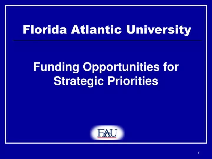 funding opportunities for strategic priorities
