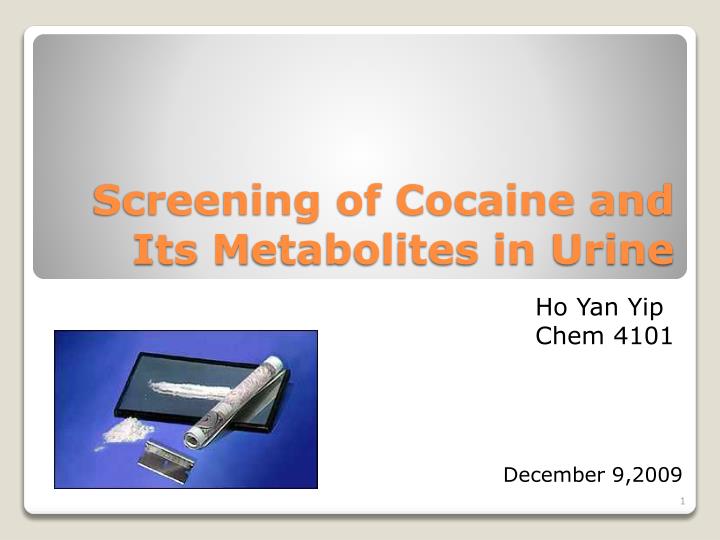 screening of cocaine and i ts m etabolites in urine