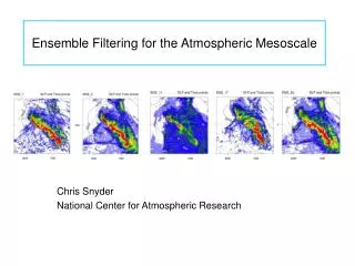 Ensemble Filtering for the Atmospheric Mesoscale