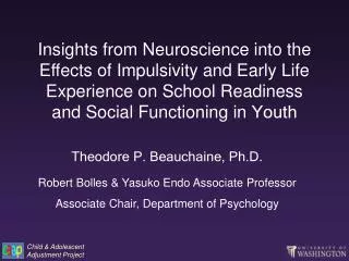 Insights from Neuroscience into the Effects of Impulsivity and Early Life Experience on School Readiness and Social Func