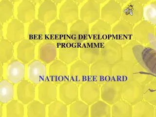 BEE KEEPING DEVELOPMENT PROGRAMME