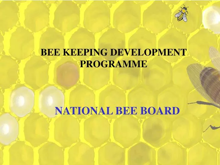 bee keeping development programme
