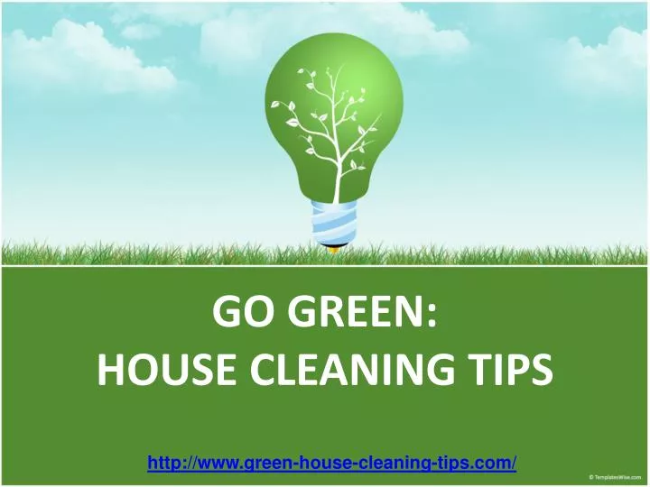 go green house cleaning tips