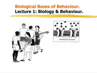Biological Bases of Behaviour. 	Lecture 1: Biology &amp; Behaviour.