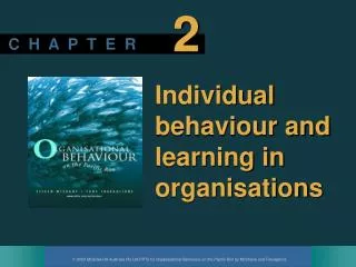 Individual behaviour and learning in organisations