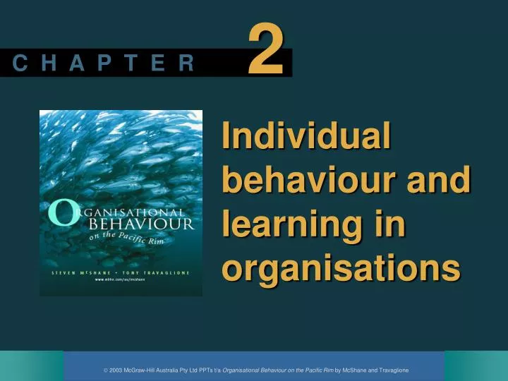 individual behaviour and learning in organisations