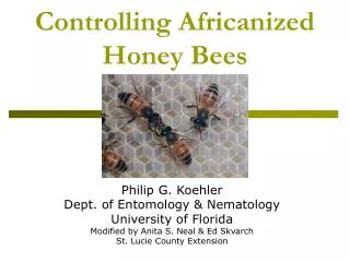 Controlling Africanized Honey Bees