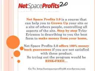 net space profits 2.0, local marketing, earn money from home