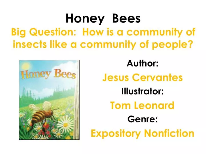 honey bees big question how is a community of insects like a community of people