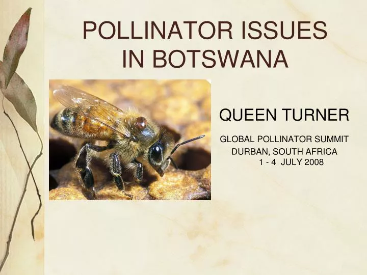 pollinator issues in botswana