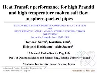 Heat Transfer performance for high Prandtl and high temperature molten salt flow in sphere-packed pipes
