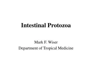 Intestinal Protozoa