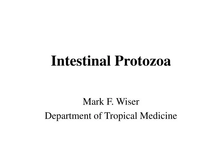 intestinal protozoa