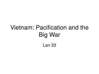 Vietnam: Pacification and the Big War