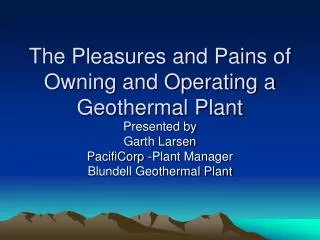 The Pleasures and Pains of Owning and Operating a Geothermal Plant