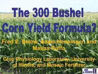 The 300 Bushel Corn Yield Formula?