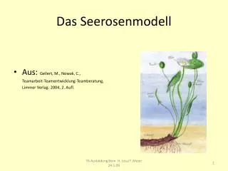 Das Seerosenmodell