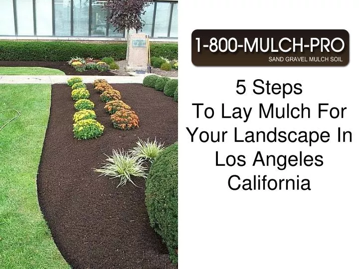 5 steps to lay mulch for your landscape in los angeles california