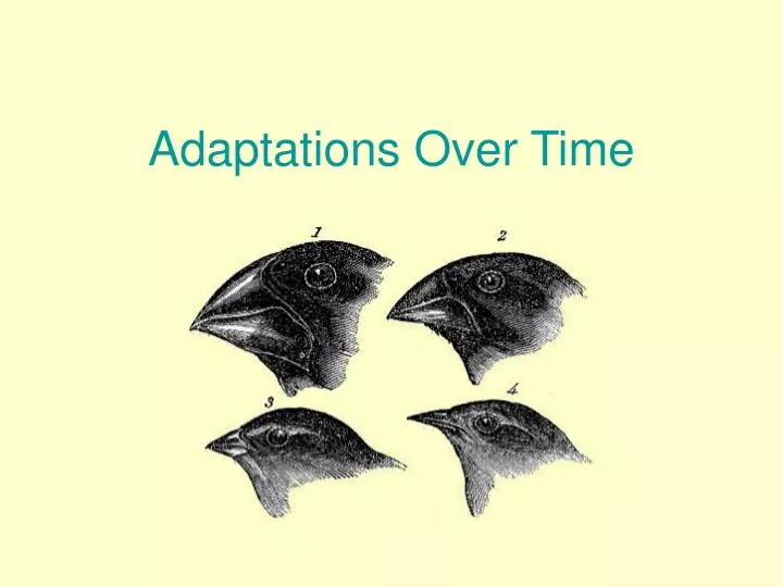 adaptations over time