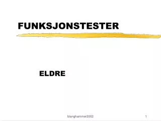 funksjonstester
