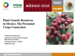 Plant Genetic Resources in Mexico: The Perennial Crops Connection