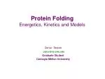 Protein Folding Energetics, Kinetics and Models - slide 1
