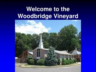 Welcome to the Woodbridge Vineyard