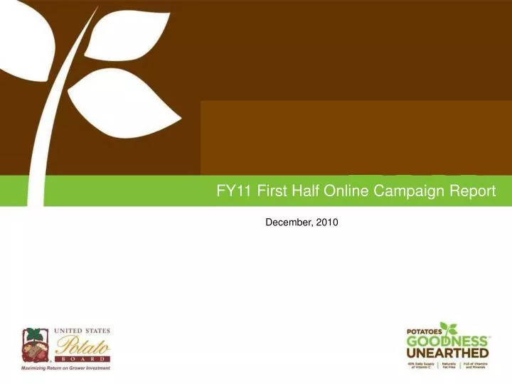fy11 first half online campaign report