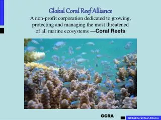 Coral Reefs – Support, Nurture, Protect, Provide