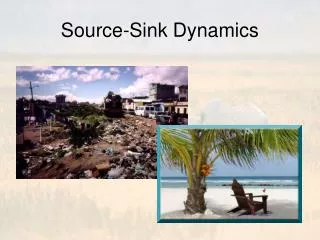 Source-Sink Dynamics