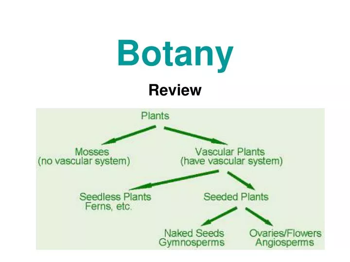 botany