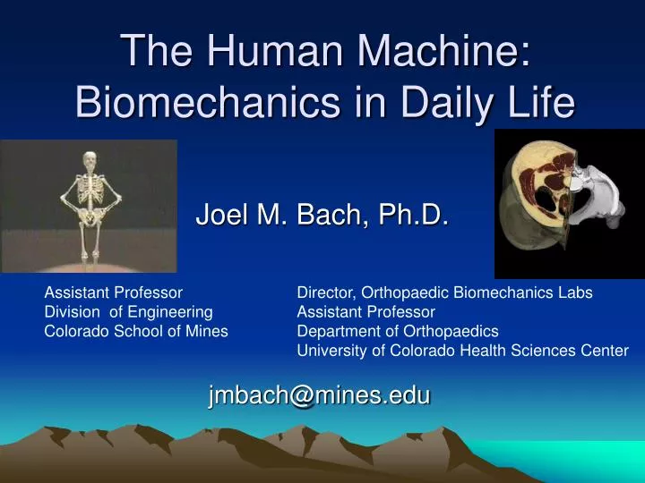 the human machine biomechanics in daily life