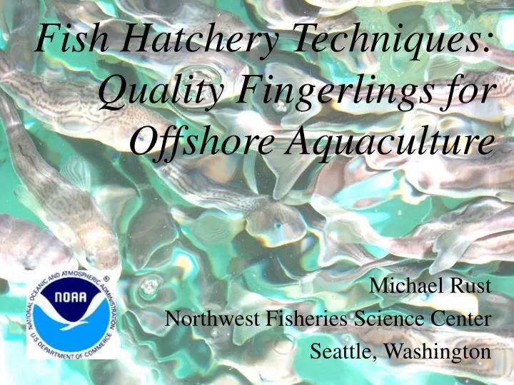 fish hatchery techniques quality fingerlings for offshore aquaculture