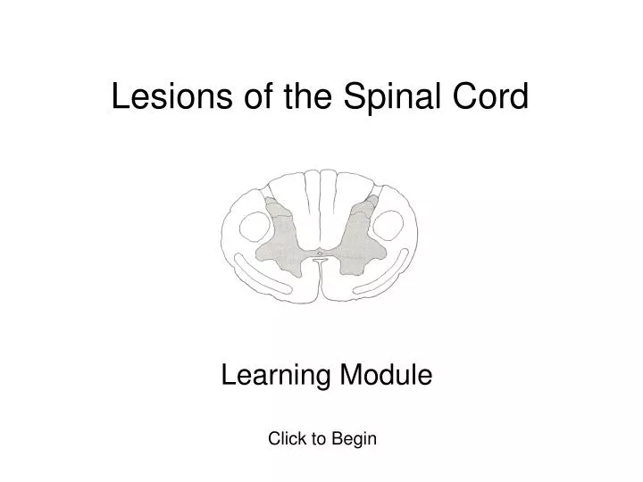 lesions of the spinal cord