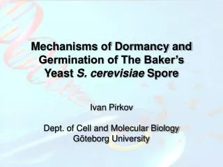 Mechanisms of Dormancy and Germination of The Baker’s Yeast S. cerevisiae Spore