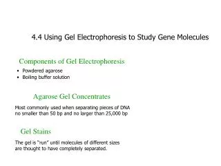 4.4 Using Gel Electrophoresis to Study Gene Molecules