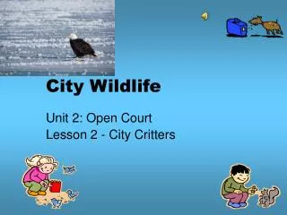 City Wildlife