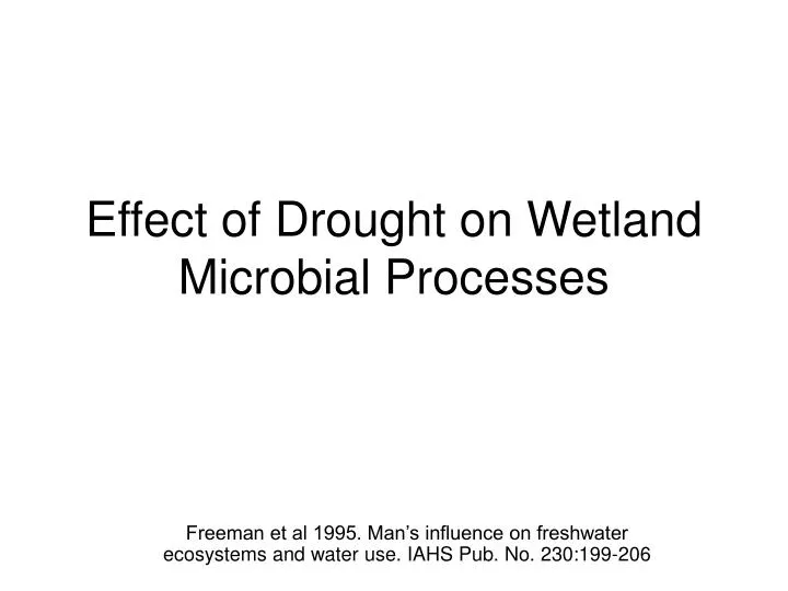 effect of drought on wetland microbial processes