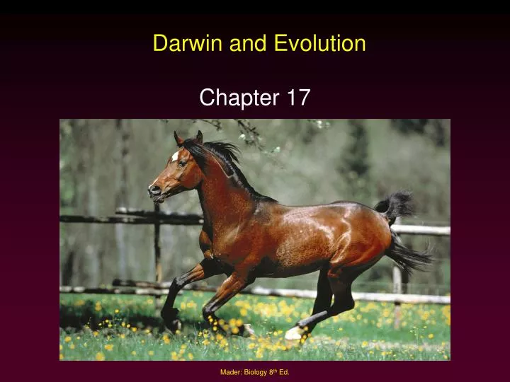 darwin and evolution