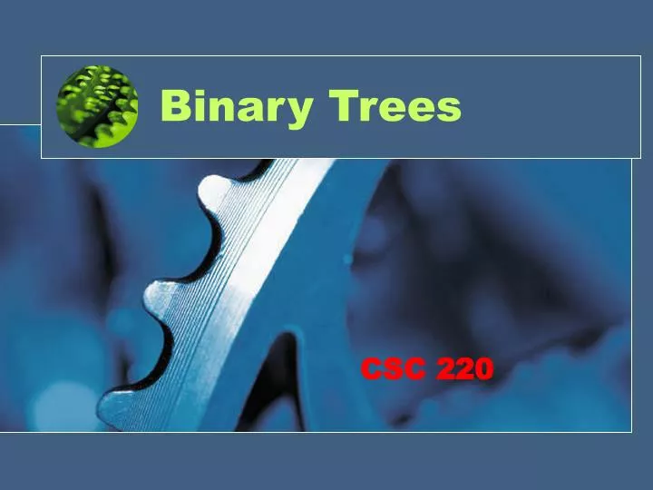 binary trees