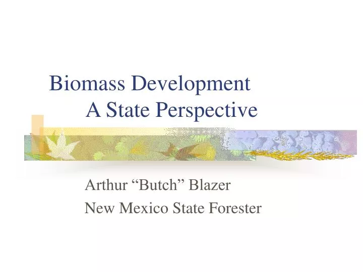 biomass development a state perspective