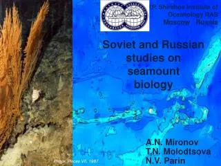 Soviet and Russian studies on seamount biology